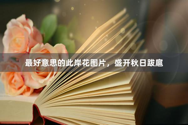 最好意思的此岸花图片，盛开秋日跋扈