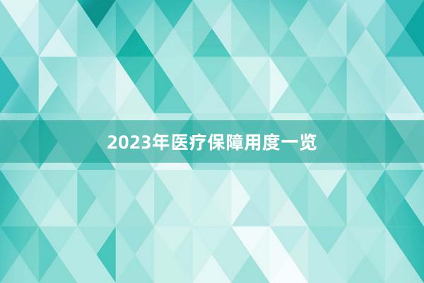 2023年医疗保障用度一览