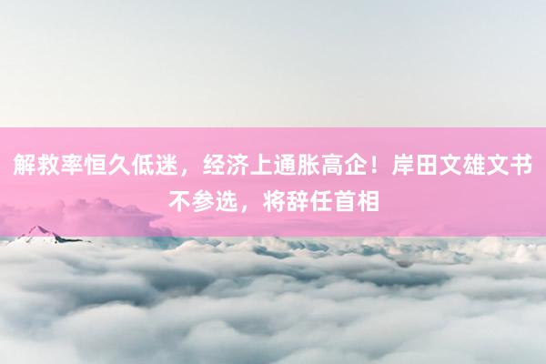 解救率恒久低迷，经济上通胀高企！岸田文雄文书不参选，将辞任首相