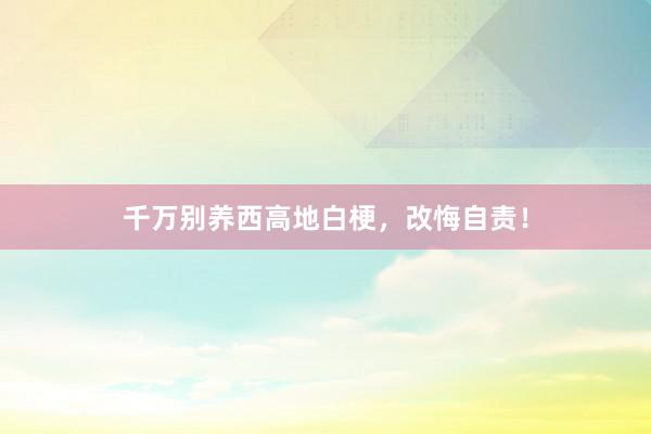 千万别养西高地白梗,改悔自责!