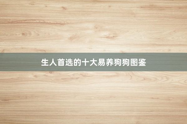 生人首选的十大易养狗狗图鉴